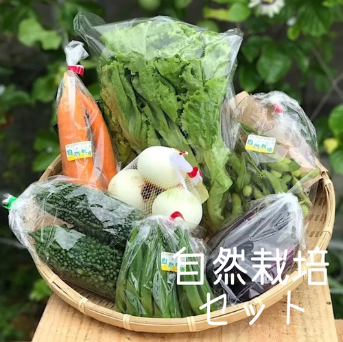 安心自然栽培野菜【M set】8品　送料無料