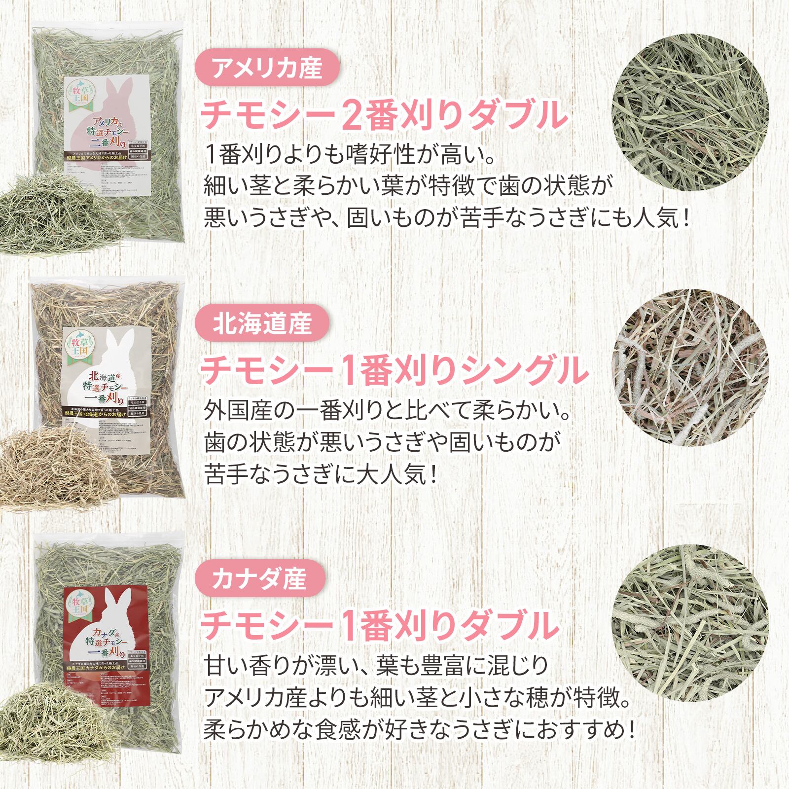 カナダ産プレミアムチモシー1番刈りダブル お試しパック 50g カナダ産プレミアムチモシー1番刈りダブル お試しパック 50g