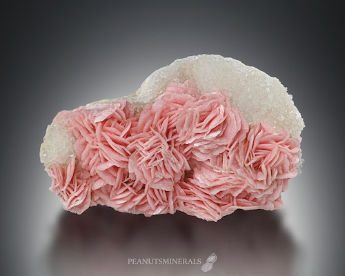 ロードクロサイト / クォーツ【Rhodochrosite with Quartz】ルーマニア産