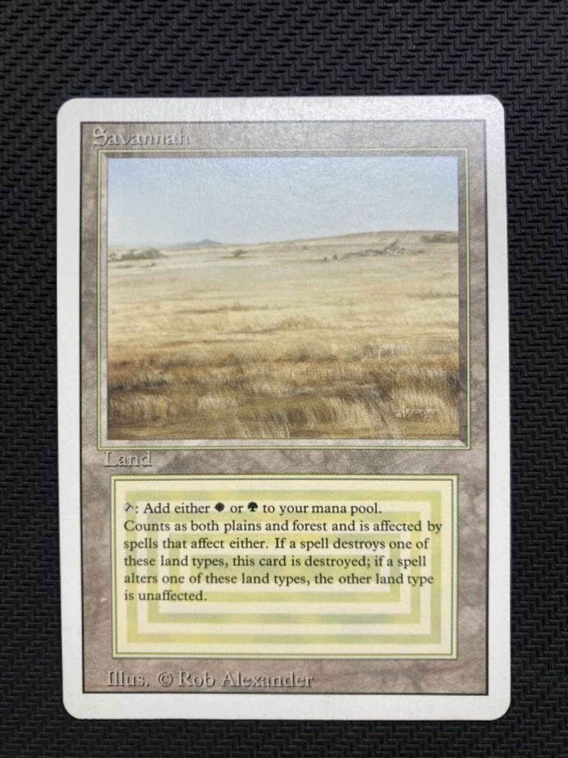MTG《Savannah(3ED)》英語 ※プレイ用 | Pay ID