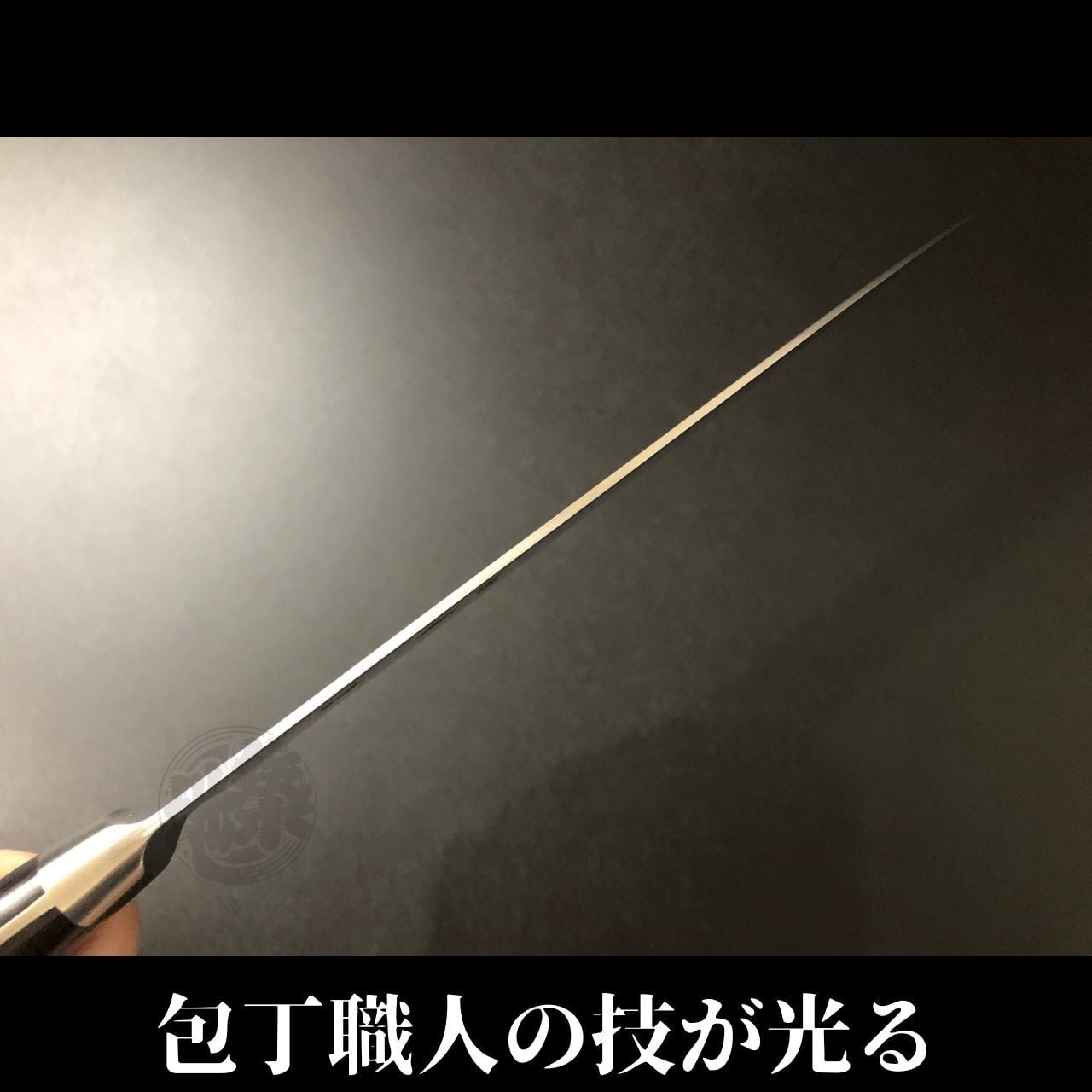 有次 包丁 牛刀 210mm 日本製 ステンレス鋼 Aritsugu 黒木柄 名入れ