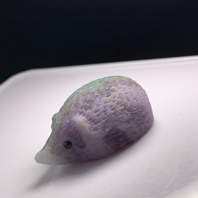 バイカラーハリネズミ  フローライト