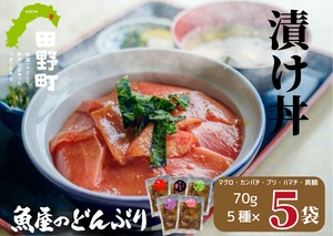 【送料無料】販売開始から２カ月で累計1万食突破！これが魚屋の漬け丼だ！5種