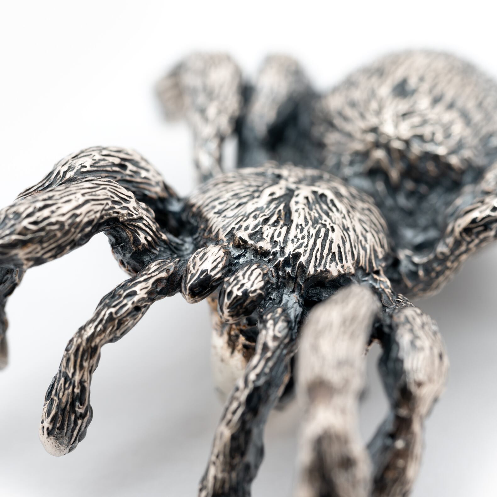 バードイータータランチュラペンダント | Cold I's 公式