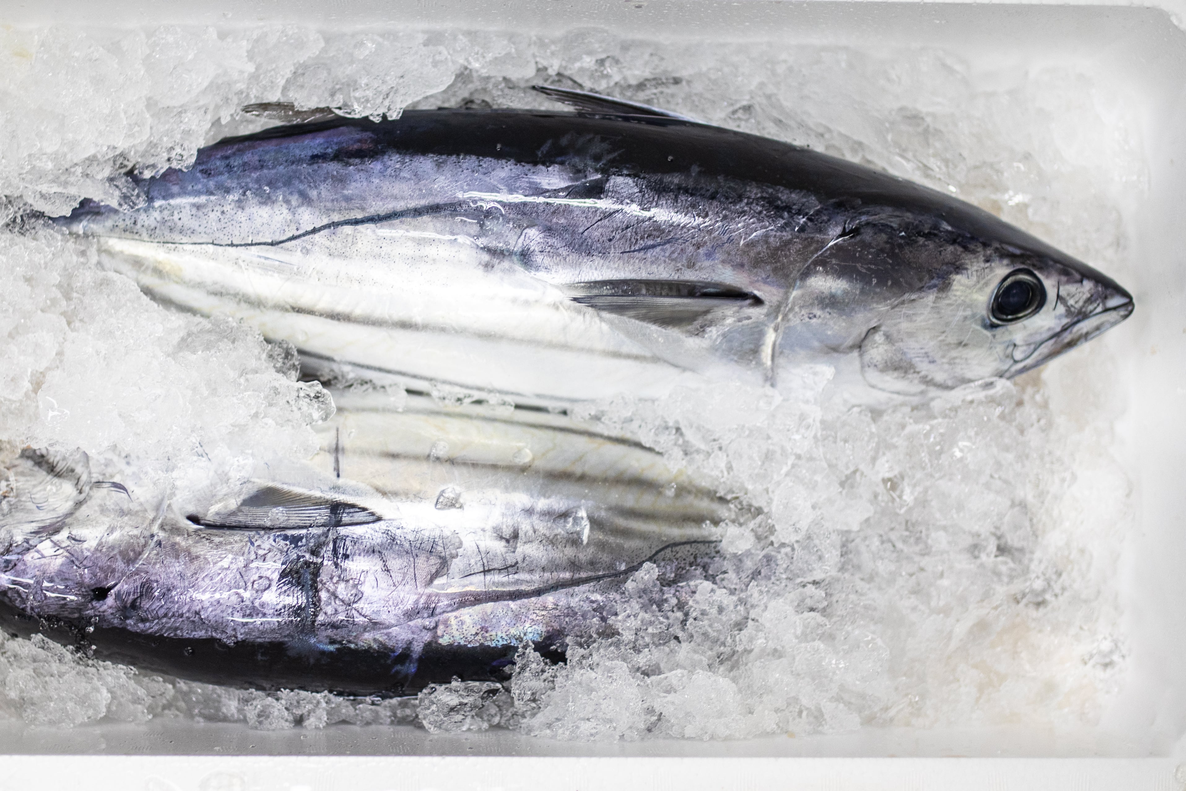 鰹（カツオ）藁焼きタタキ | 有限会社英伸