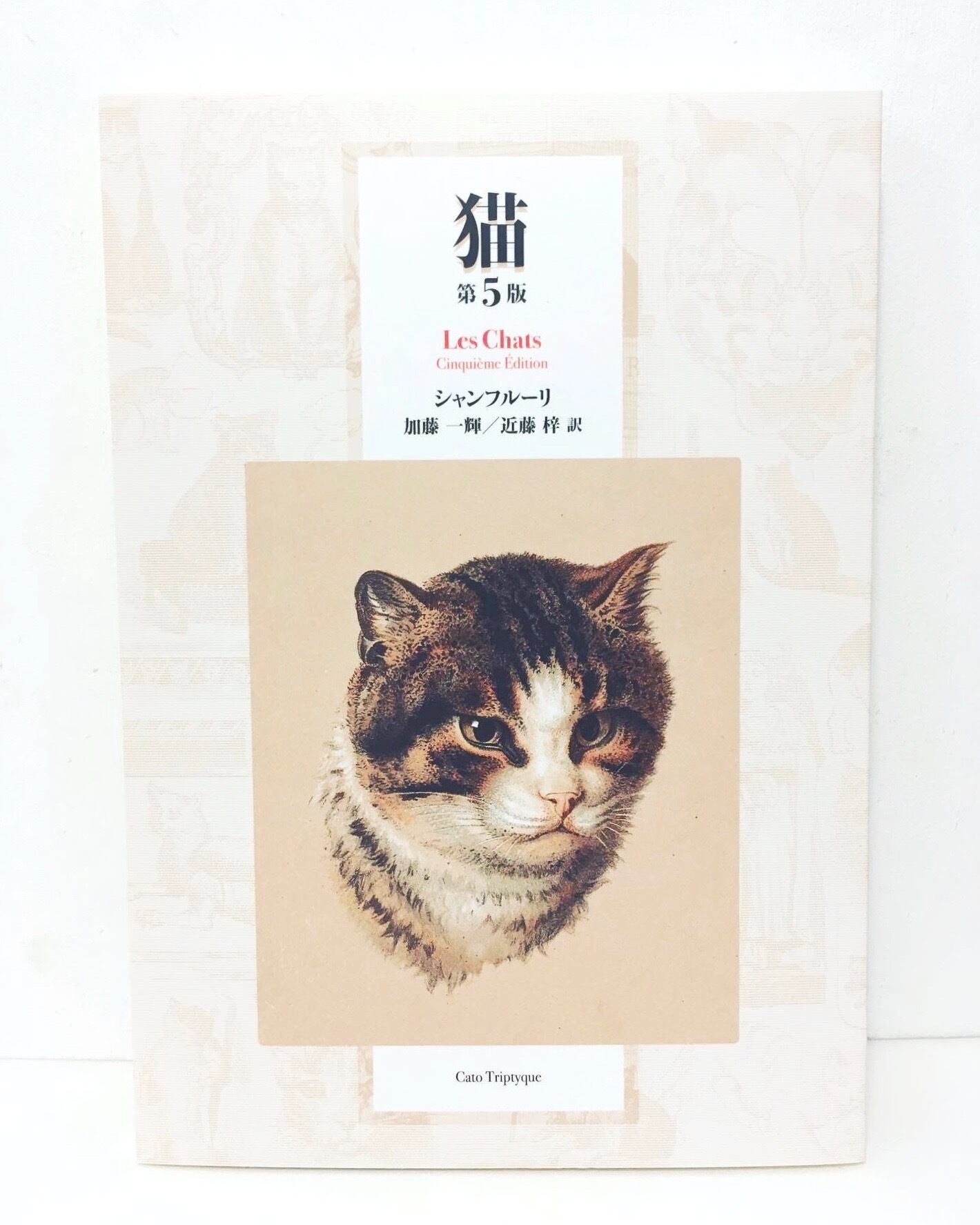 リトルプレス】猫 第5版 | ひるねこBOOKS