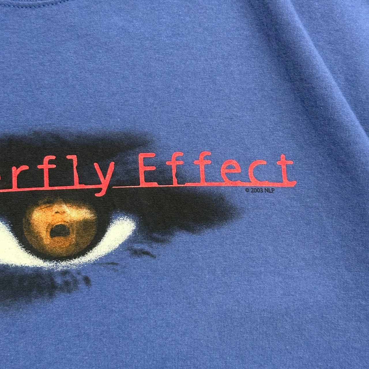 00s THE BUTTERFLY EFFECT