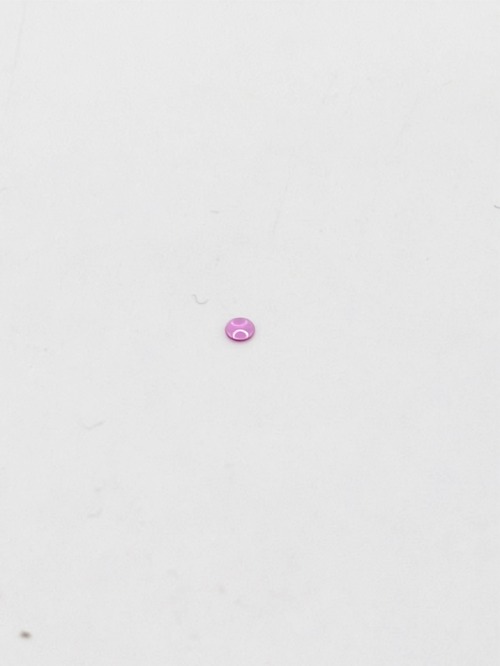 RX 4493 テンプ受石  上(下)