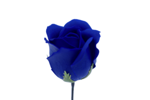 ゴールドバラG-BL6 濃ブルー　(15輪入りor25輪入り)