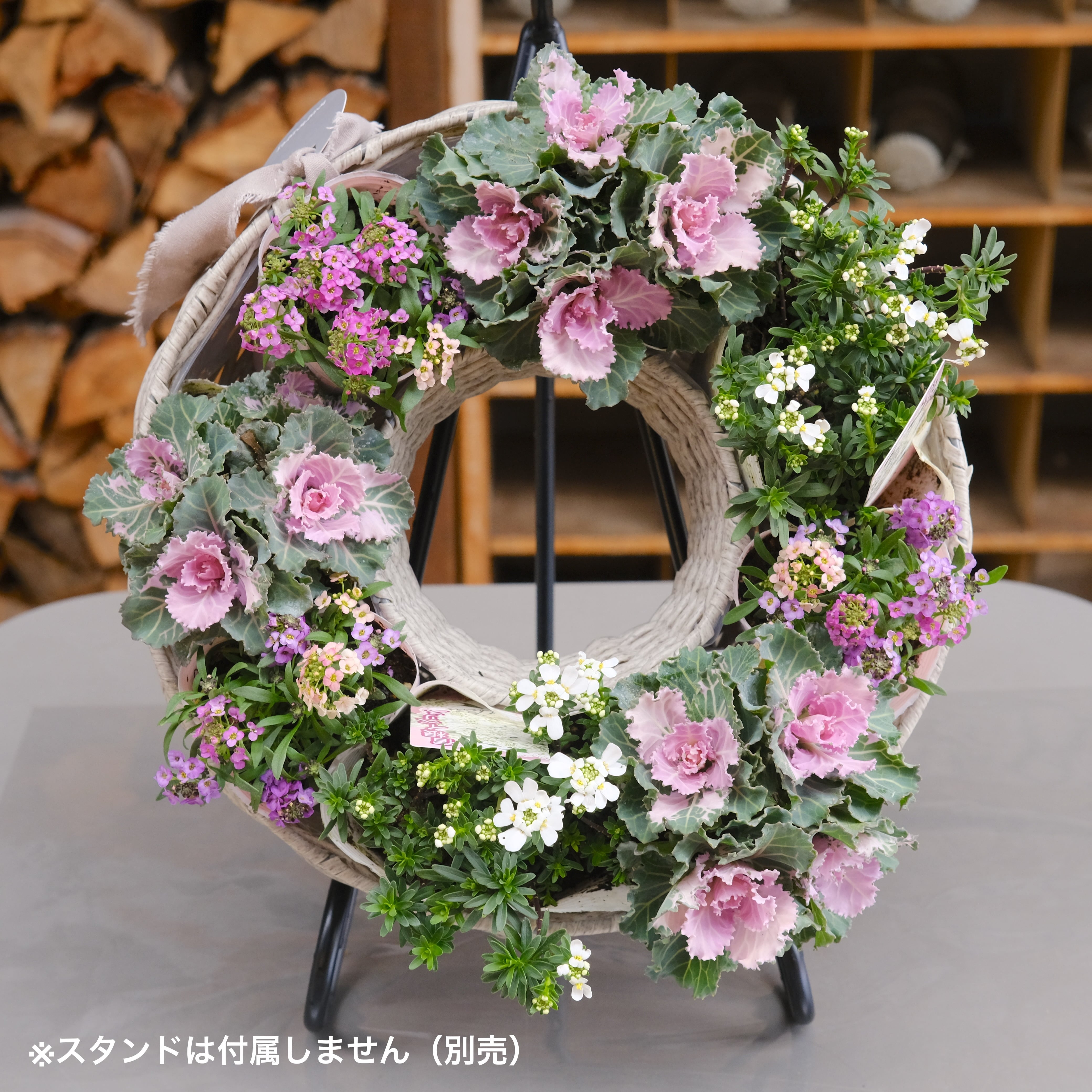 みーにゃ♡出品　リース土台 リースの寄せ植えを作ろう！土谷先生セレクト 苗 & 鉢 セット《 ピンク
