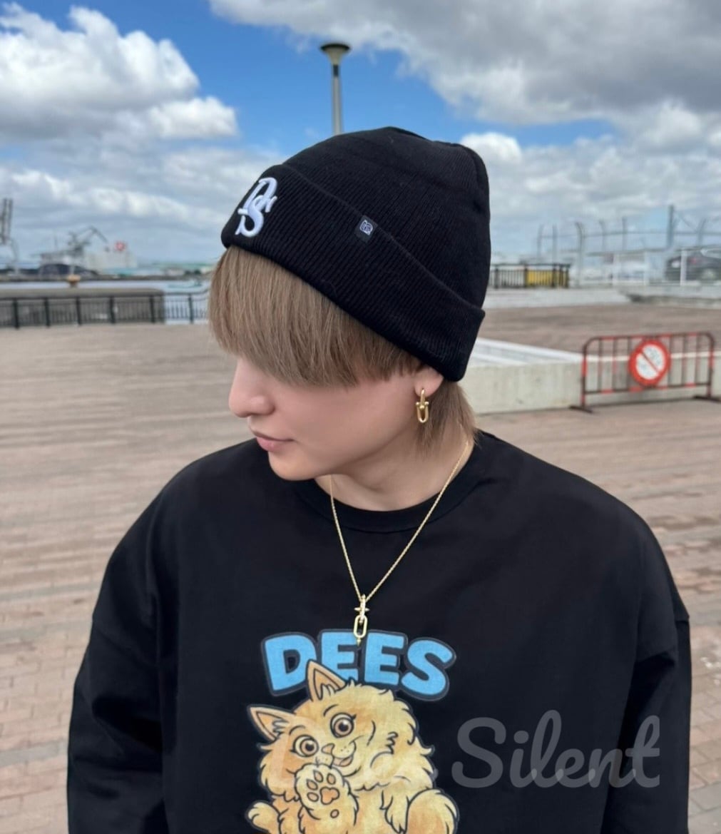 Dees Silent 公式 DSロゴ ニットキャップ ｜ ブラック ｜ ストリート