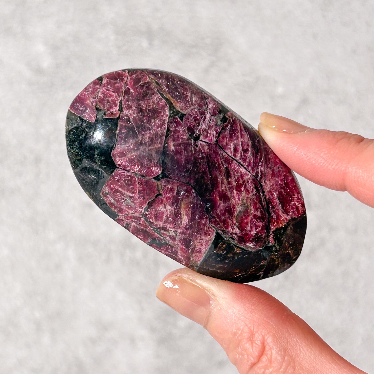 ユーディアライト パーム