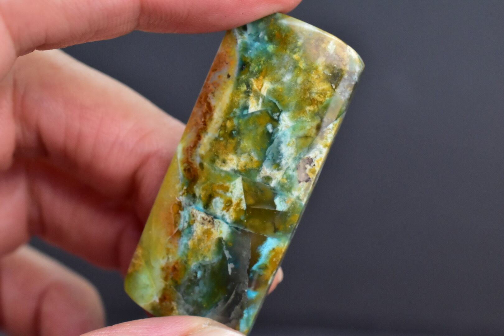 Blue Opalized Petrified wood | kakan by meteo