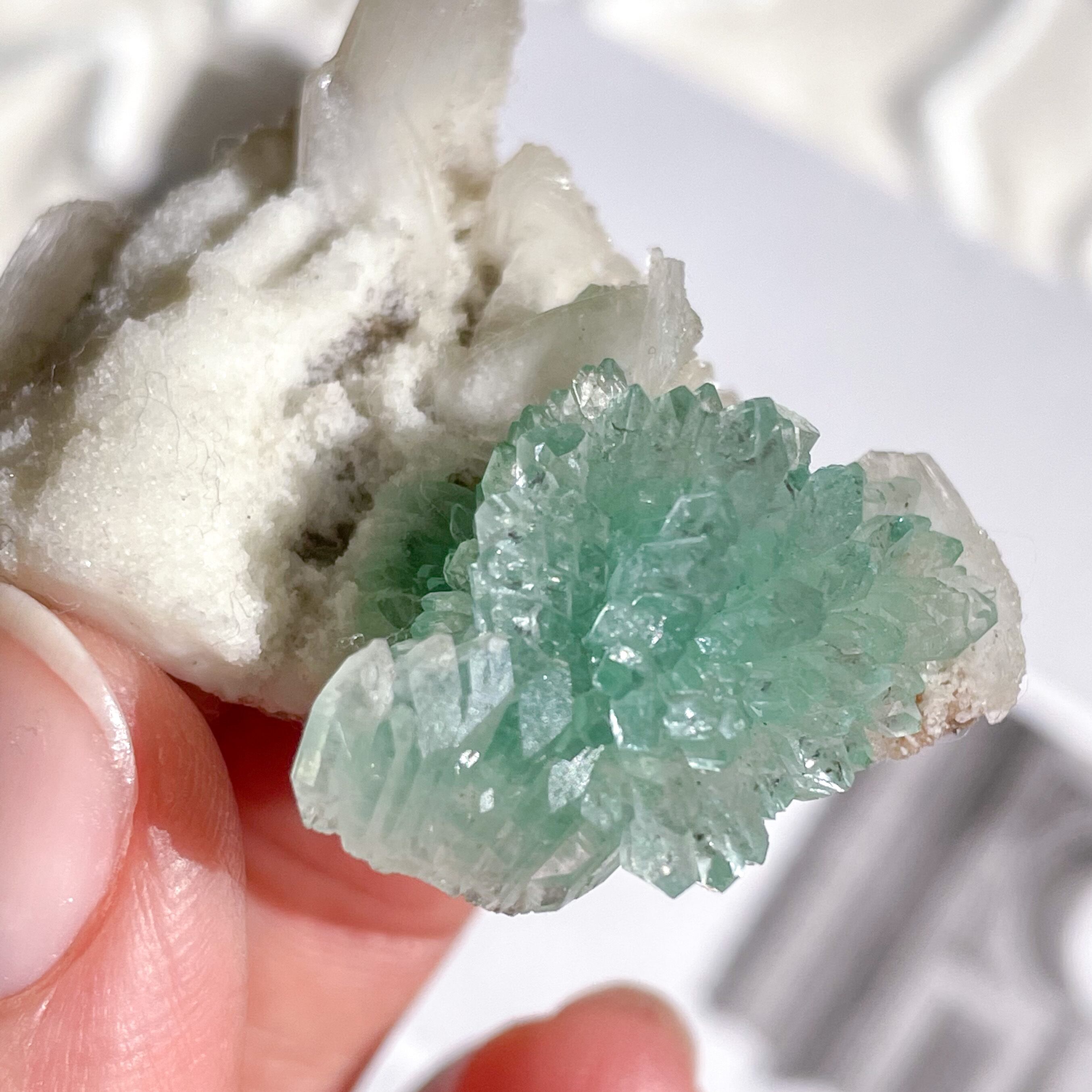 Flower Green Apophyllite 12 ✧ フラワーグリーンアポフィライト