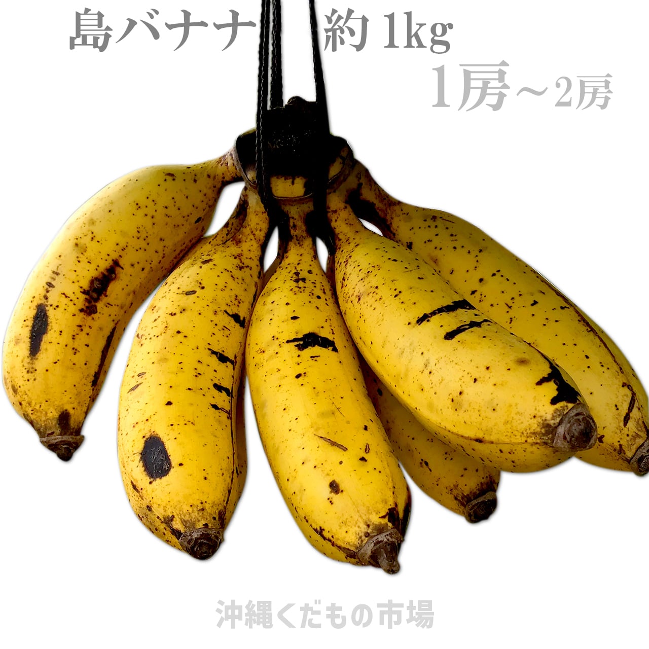 沖縄県産もっちり島バナナ（約1kg）【収穫時に発送】 | 沖縄くだもの市場