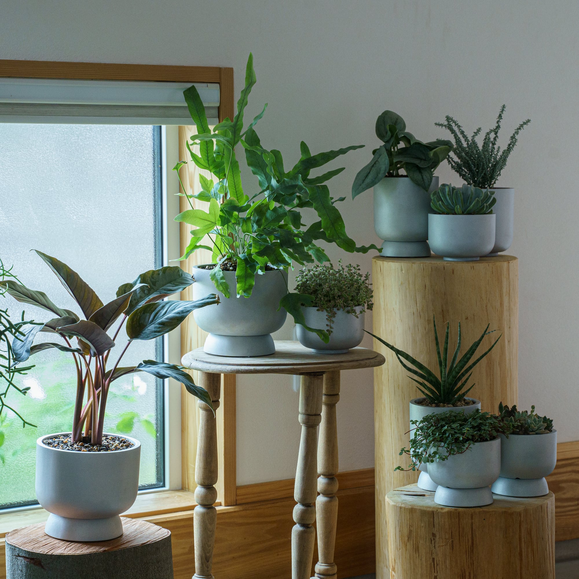 溶接鉢 kokeshi planter s | HONOR