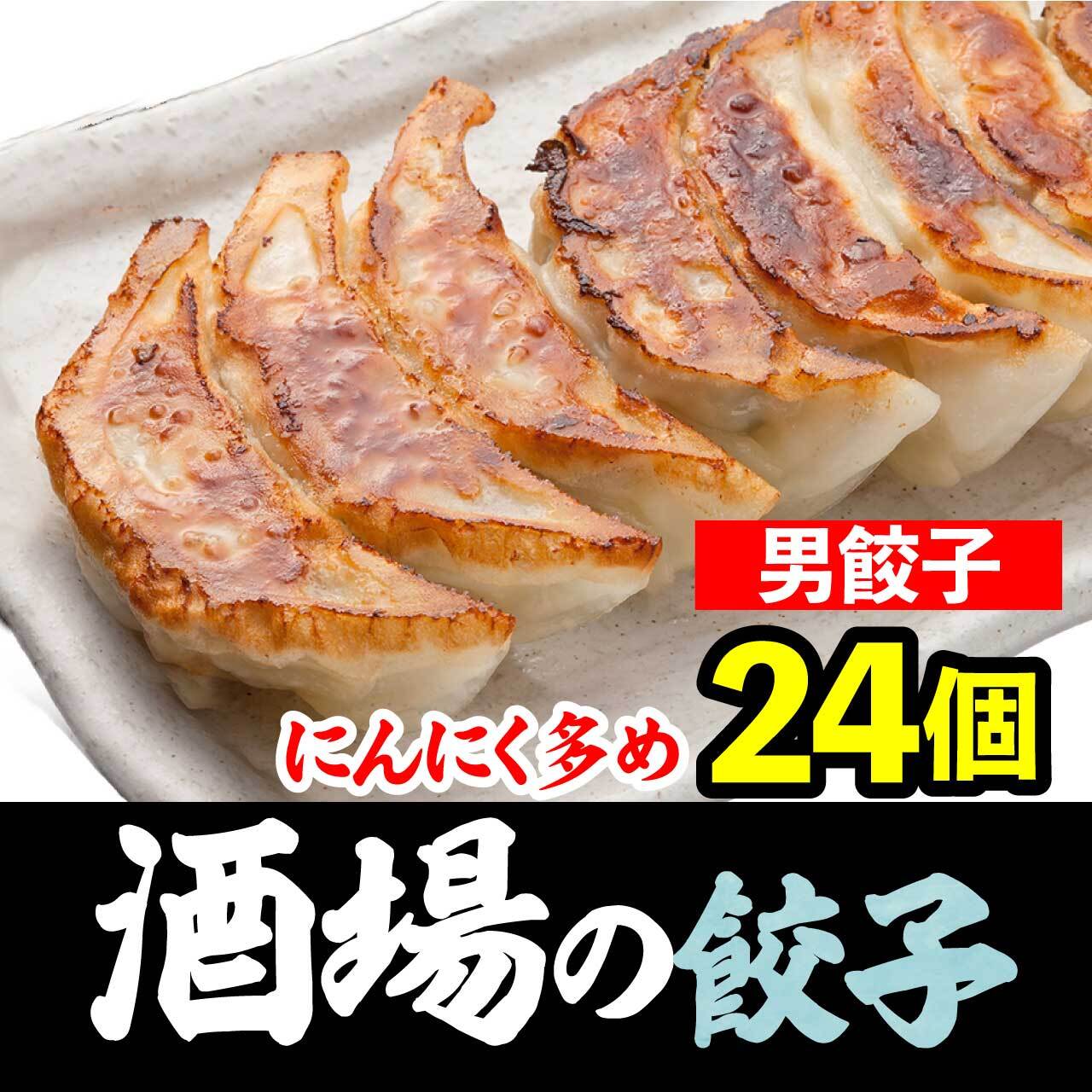 餃子研究所 静岡 にんにく多め「男餃子」24個（12個×2パック）【お