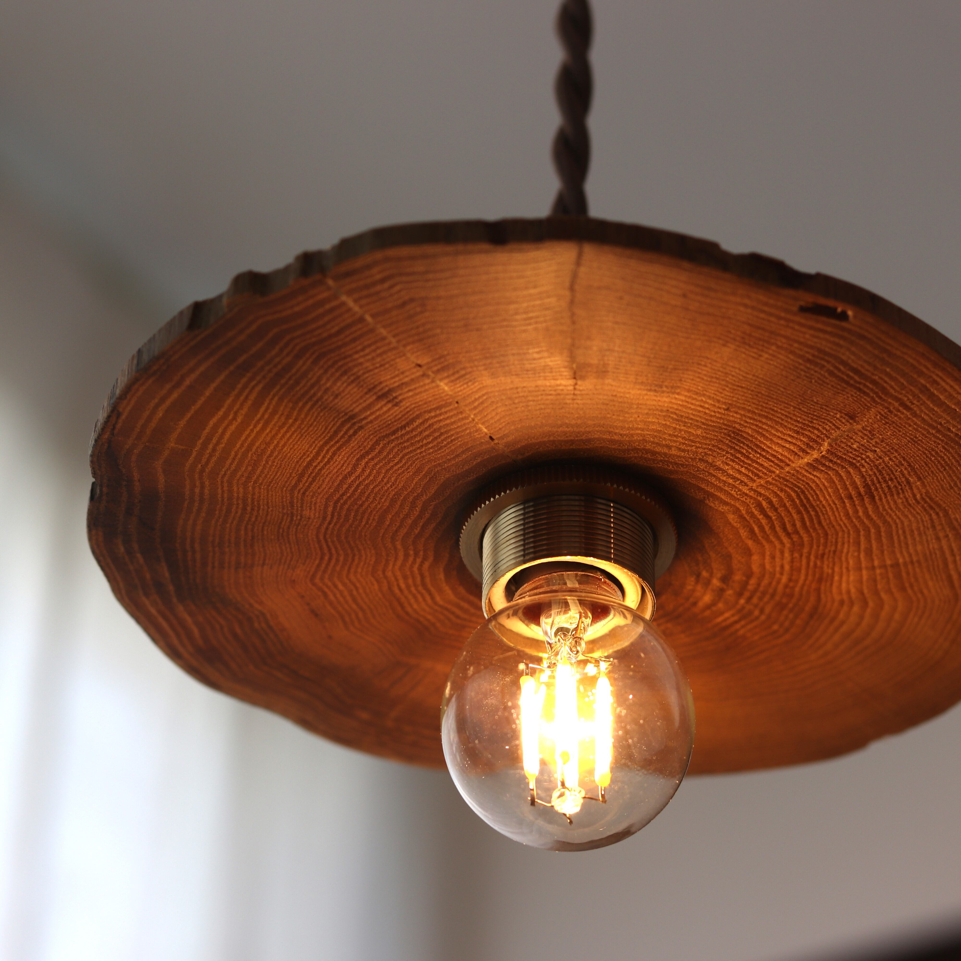 照明】天然木のペンダントライト/ノグルミ | ジーフラットインテリア