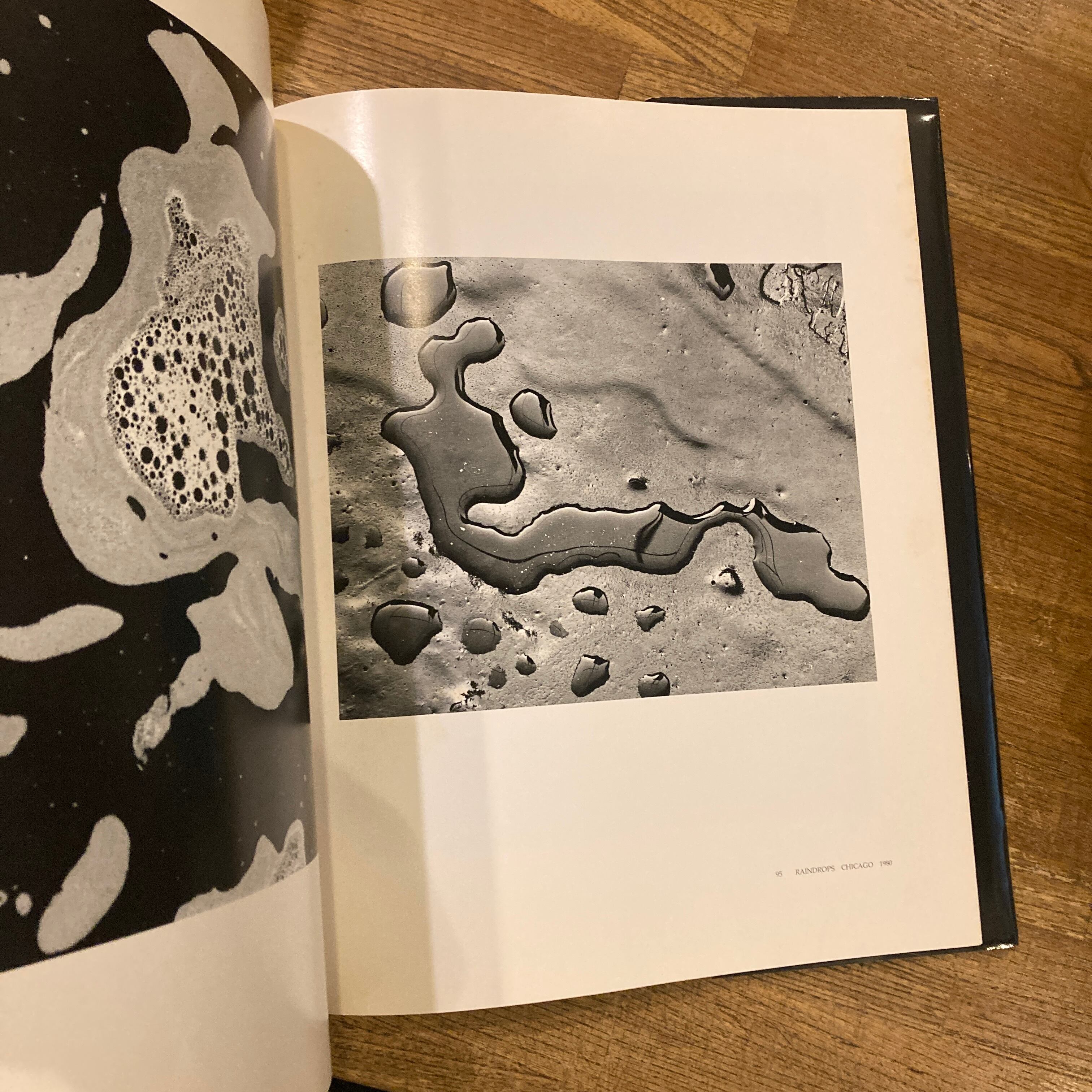 Brett Weston a Personal Selection / Brett Weston | 百年