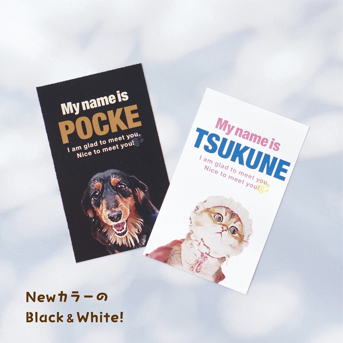 名刺 〈ポップstyle〉 ☆100枚入 | ひまわんギャラリー | 〈オーダー