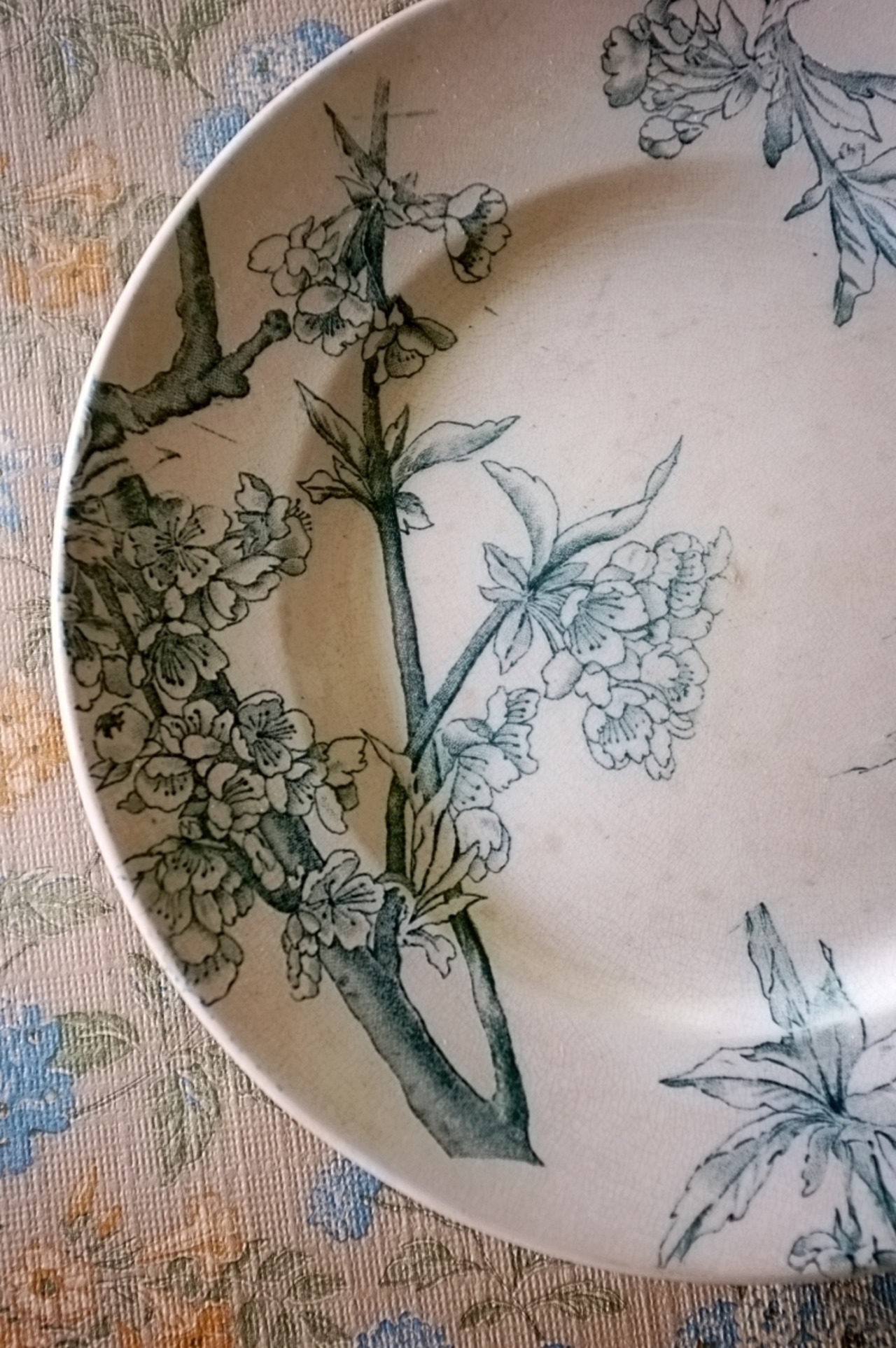 1880s Creil et Montereau 青い桜とプレートa Cerisier クレイユモントロー