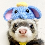 ぞう 編み物帽子