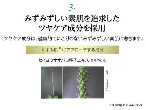 5%OFFラピスティ Bエッセンス《導入美容液》（80ml）/エイジングケア