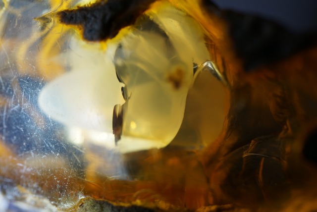 エッグ・イン・オパール Opal Egg 827