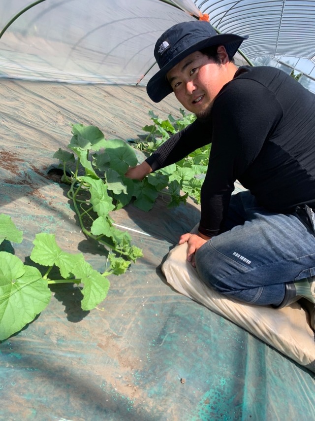 十勝メロン（札幌キング）