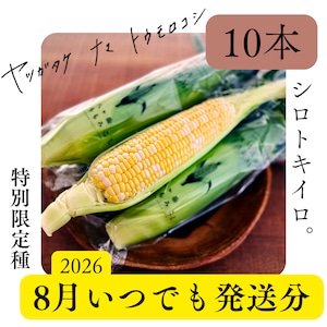 【数量限定／10本箱】ヤツガタケナマトウモロコシ特別限定種「キイロトシロ」