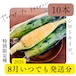 【数量限定/10本箱】特別限定種「シロトキイロ」