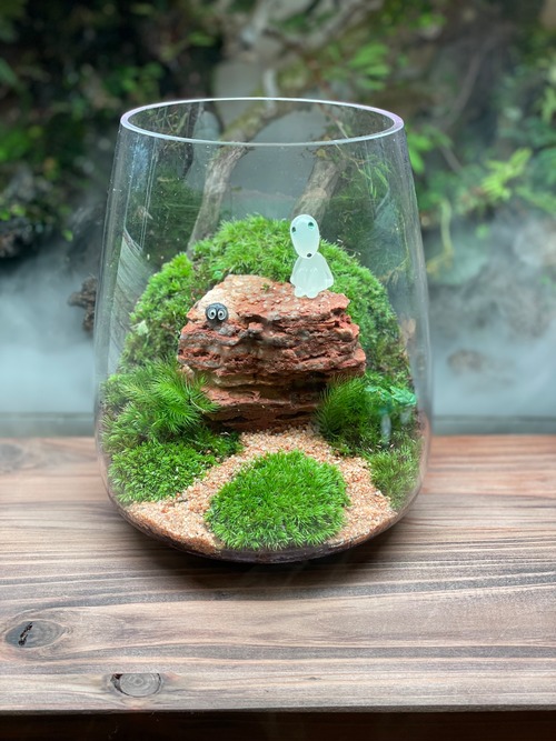 苔テラリウム　018