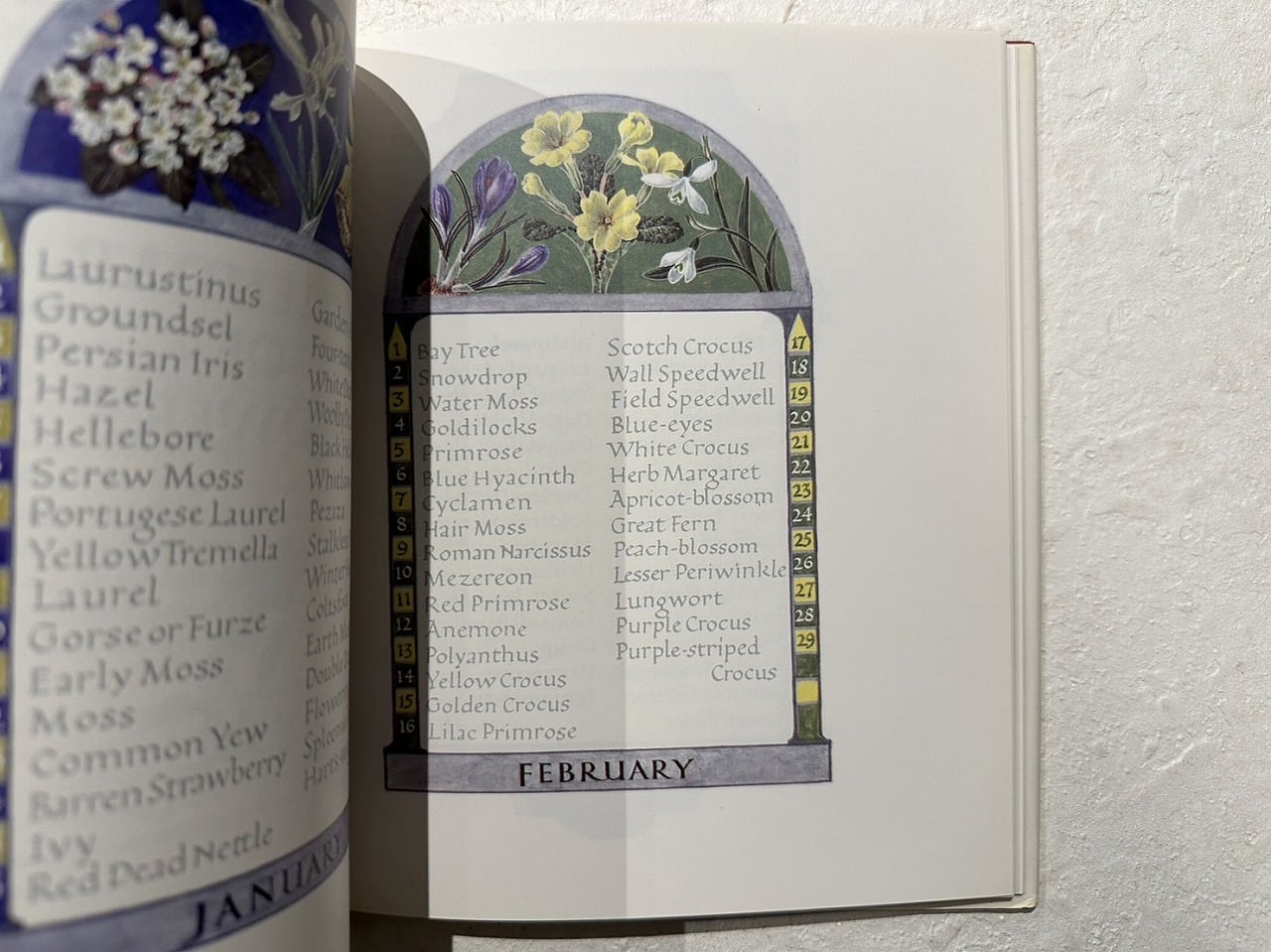 VW183】A Floral Calendar: And Other Flower Lore /visual book