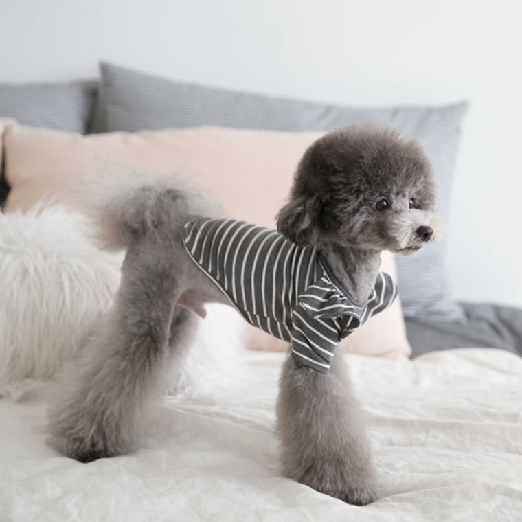 willy stripe t-shirt S ~ XL 2color / 犬服 フリル ボーダー Tシャツ ブラウス ドッグウェア シンプル トップス お出かけ ストライプ 長袖