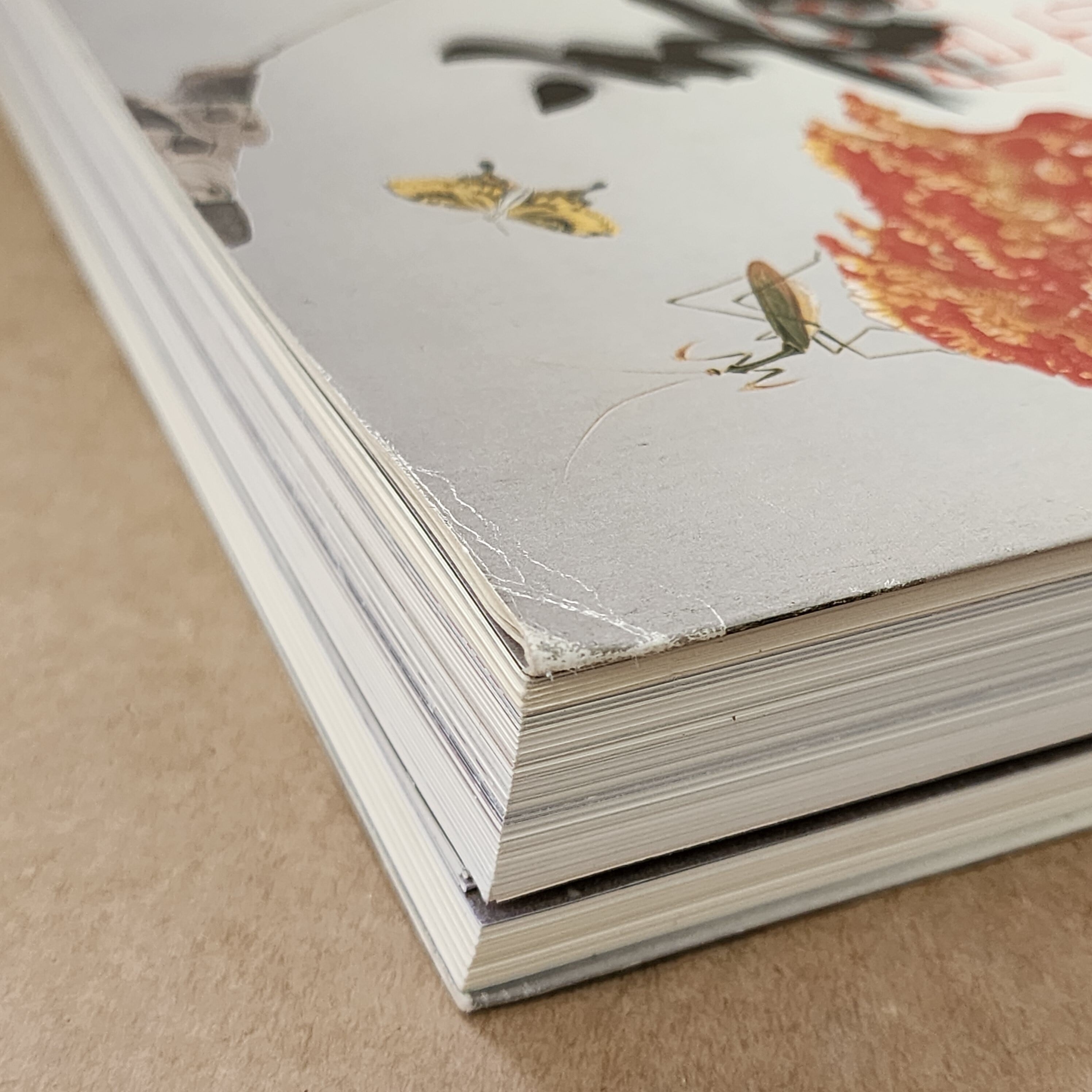 没後200年 若冲 特別展覧会 図録 |古本 |伊藤若冲 | 古本とうつわと 没後200年 若冲 特別展覧会 図録 |古本 |伊藤若冲 | 古本とうつわと