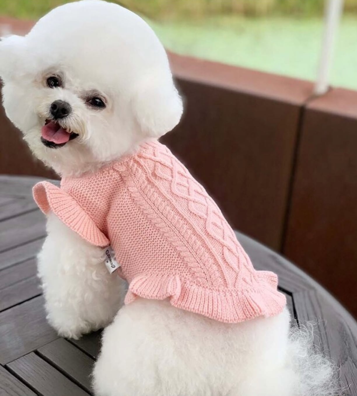 frill knit top 2color XS ~ XL / 犬服 秋冬 ニット フリル Tシャツ フリル袖 ドッグウェア シンプル ニット 小型犬 中型犬 犬 服 猫 ペット用品 ペット洋服 top95