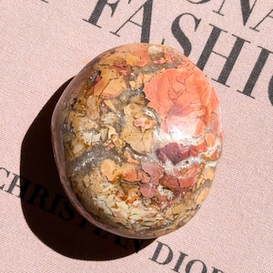 Ibis Jasper Palm 4 ✧ アイビスジャスパー