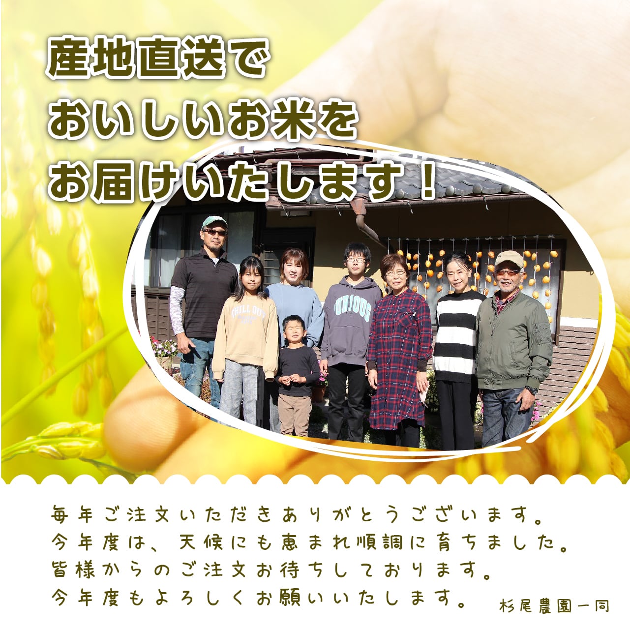 ♡令和5年収穫♡丹波篠山産 コシヒカリ 玄米 正味23キロ 丹波 ♡令和5年収穫♡丹波篠山産 コシヒカリ 玄米 正味23キロ 丹波
