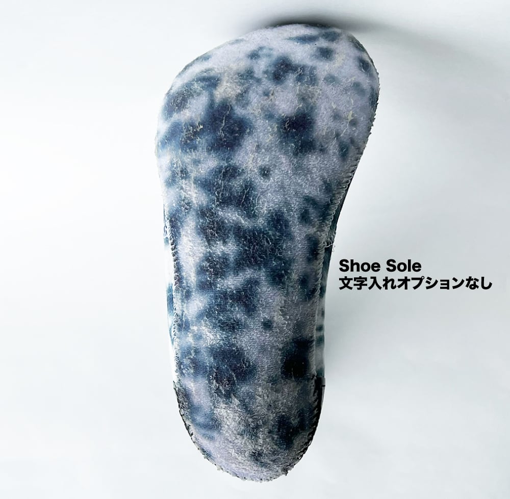 SURFLITE_【SP】 | surflite1173