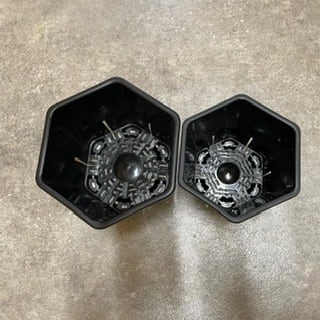 HexaPot 4号、5号(各5個)set | tanekiti