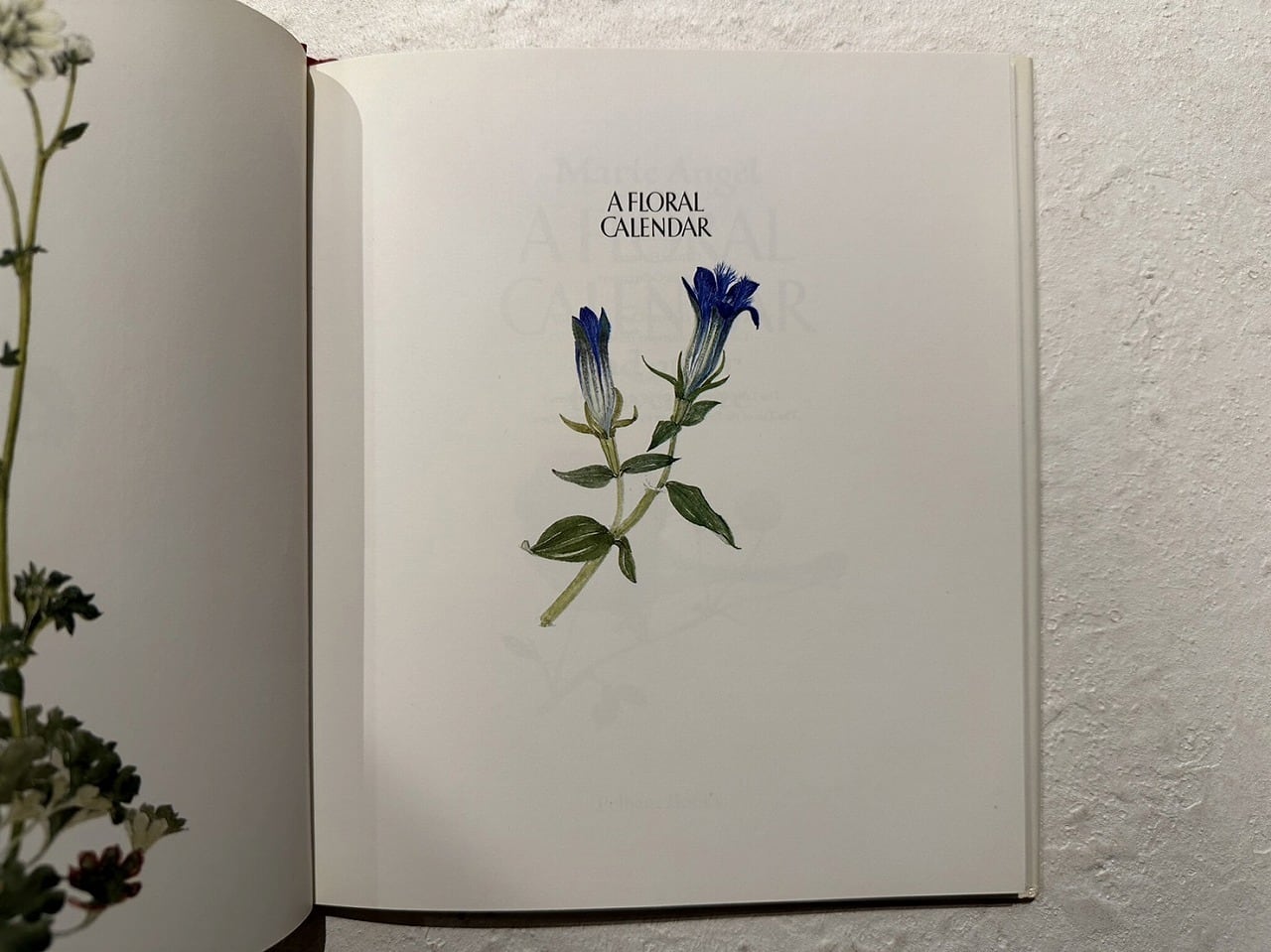 その他 flower VW183】A Floral Calendar: And Other Flower Lore /visual book