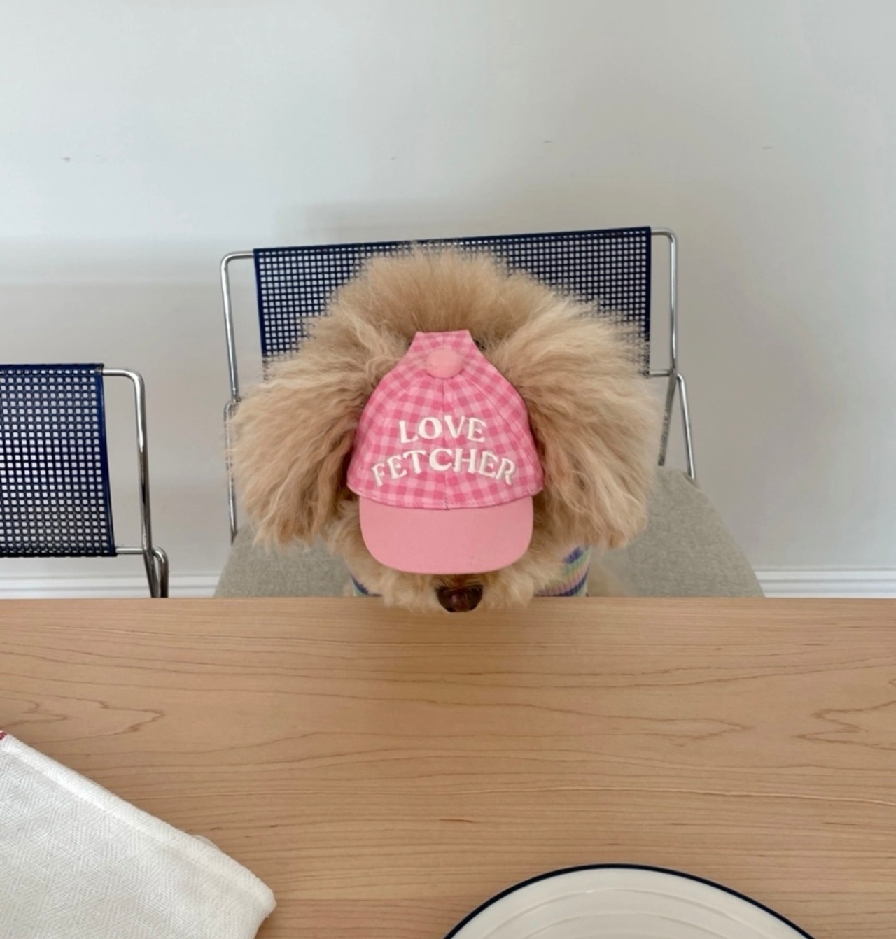 即納【Freddie Tale】Love Fetcher gingham ball cap(pink)Lサイズ