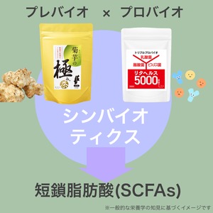 菊芋の極み茶〈家計応援価格〉1袋