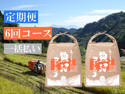 【定期便 6回コース】令和５年産米 魚沼コシヒカリ 特別栽培米 10kg【一括払い】