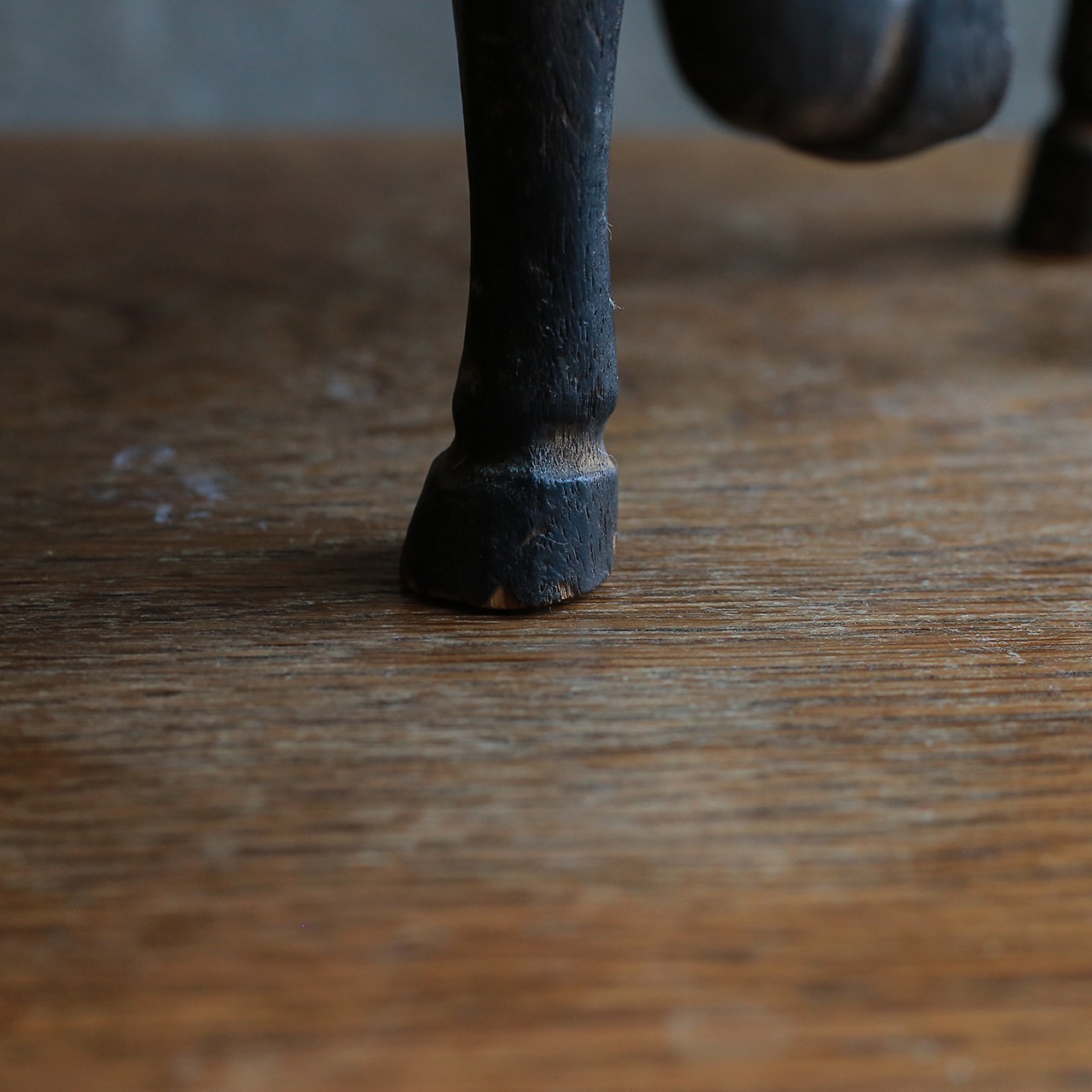 手放したくないほど美しい馬 16