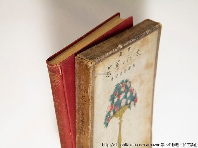 歌集 太陽と薔薇 初版 / 与謝野晶子 山本鼎装 著者口絵 [38450][並下