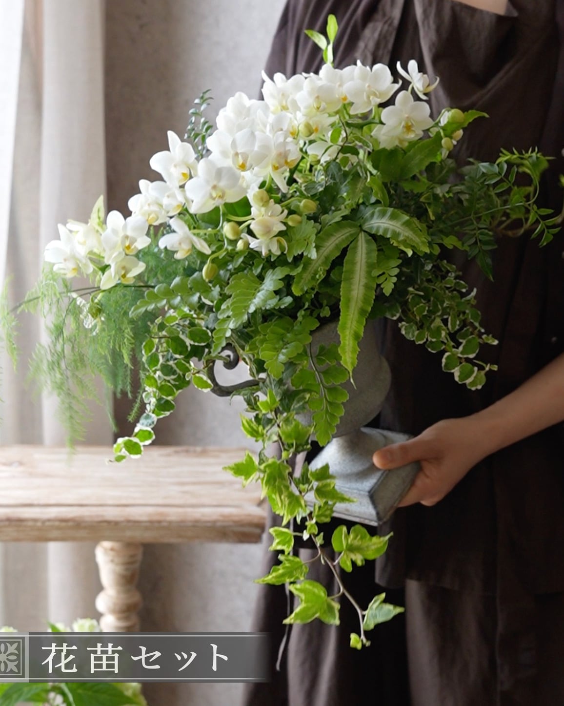 花苗セット（セット販売） | アトリエ ヴィネット（花苗・鉢・寄せ植え