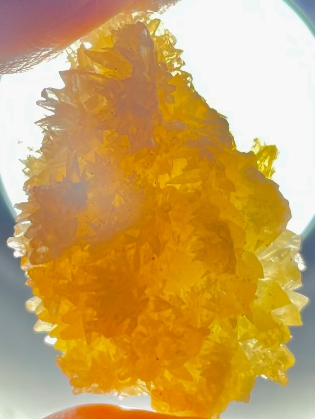 16) 超・古代レムリアンパワー！「カウアイ・レムリアン・ゴールデンハニーカルサイト」美結晶