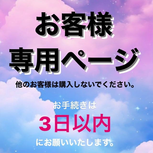 イヤリング】kazu9.6様専用ページ※他のお客様は購入しないでください 