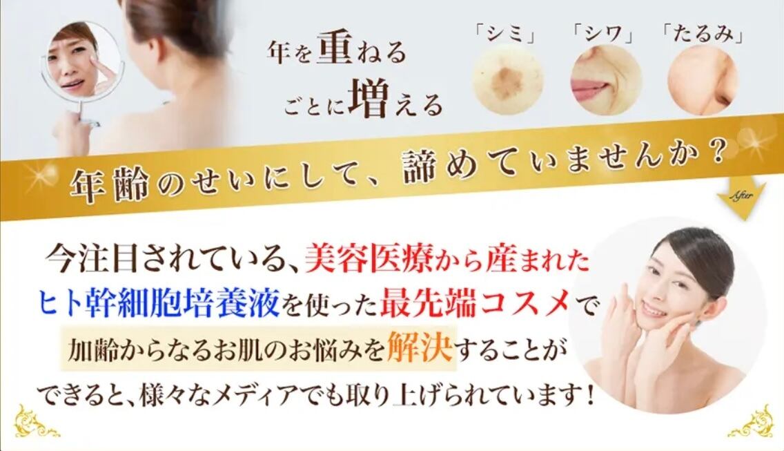 エステル SCブースターバイオセルロースフェイスマスク 1枚 | エステル